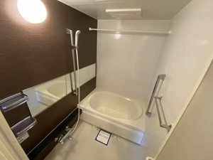 ｖｉｎｃｕｌｕｍ　ＵＫ 0202号-8