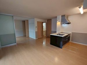 アミ　ドゥ　エトワルⅢ 0103号-2