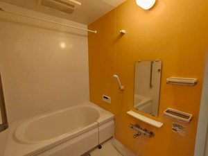 アミ　ドゥ　エトワルⅢ 0103号-8