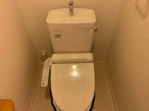 グラシア　エテルナ 0201号-5