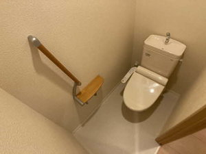 シャーメゾン　ベルフルール 0103号-11