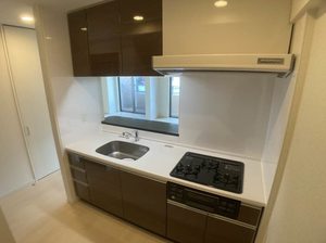 ヴィアソーレ江坂 0301号-8