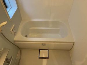 シャーメゾン　ＤＤ 0301号-10