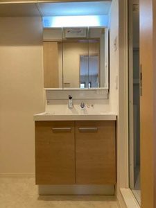 シャーメゾン　ＤＤ 0301号-11