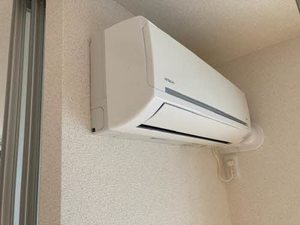 シャーメゾン　ＤＤ 0301号-14