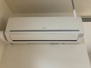 シャーメゾン DD 0305号-13