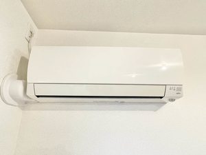 Ｓｅｔｔｅ　Ｆｕｊｉｋｉ（セッテ　藤貴） 0201号-12