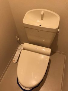 プリムローズ B102号-12