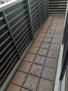 プリムローズ B202号-9