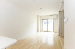 グランボヌール安堂寺 0303号-2