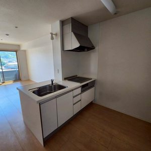Maison De Reve 0303号-11