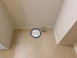 シャーメゾン彩　Ⅱ号館 0202号-8