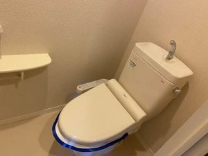 シャーメゾン彩　Ⅱ号館 0202号-11