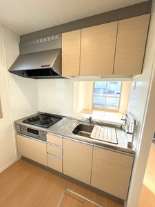 サニーコートⅡ 0102号-4