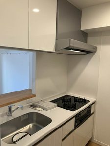 サニープレイス新梅田 0403号-8