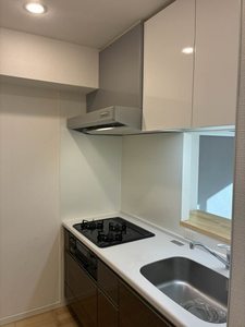 サニープレイス新梅田 0505号-6