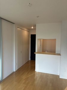 サニープレイス新梅田 0505号-9