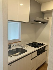 サニープレイス新梅田 0603号-10