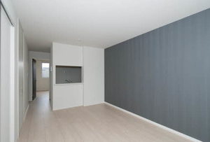 ミーリス・Ⅲ 0111号-8