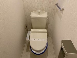 フェリシダード 0102号-12