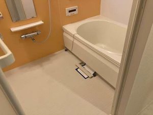 レーヴェ　エスポワール 0301号-2