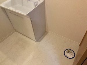 レーヴェ　エスポワール 0301号-3