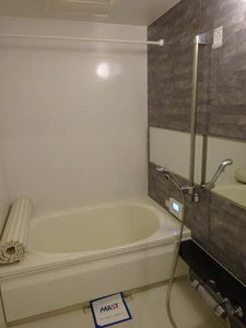 グレイス・ヴィラ 0103号-11