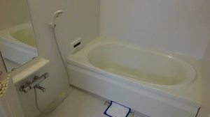 シャーメゾン椥辻 0301号-6