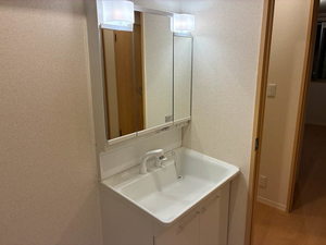 パーシモンB 0101号-3