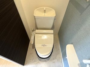 ＳｈａＭａｉｓｏｎ　ｓｏｐｈｉｅ 0103号-8