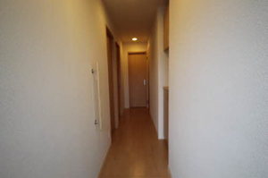 シャーメゾン彩光 0101号-2