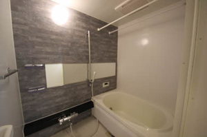 シャーメゾン彩光 0101号-12