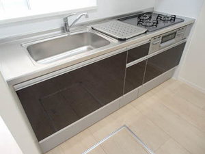 ウェントゥス　ノヴァ 0102号-2