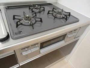 ウェントゥス　ノヴァ 0102号-6