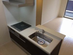 カステッロ　はなふさⅡ 0102号-11