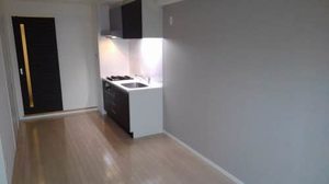 ＳＨＡＭＡＩＳＯＮ　ＪＪ 0502号-2