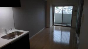 ＳＨＡＭＡＩＳＯＮ　ＪＪ 0502号-3