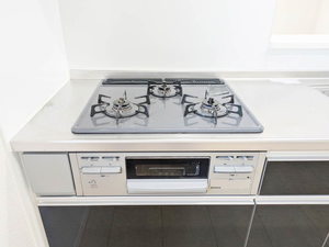 シャーメゾンガーデンズ惣盛 B203号-8