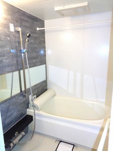 メゾン・ド・フェリス 0102号-6