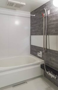 メゾン・ド・フェリス 0103号-6