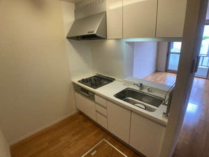 グリーンコーポ山手 0103号-12