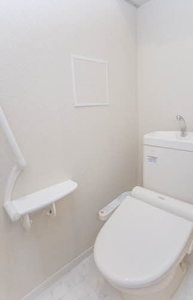 ＳｈａＭａｉｓｏｎ　Ｐｒｅｍｉａｓ 0301号-3