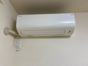 エレガンシア 0102号-12