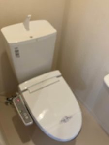 アルト・プエンテ 0101号-8