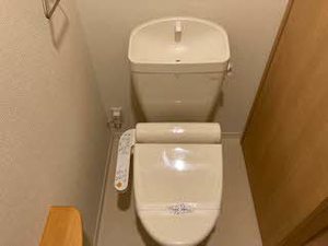 Ｖｉｖａｃｅ 0101号-6