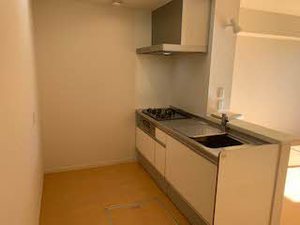 シャーメゾン アミコート 0102号-2