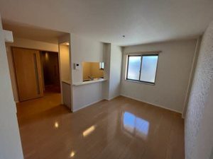 プランドール　ヴィラ 0203号-11