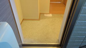 ベレオＫ 0202号-15