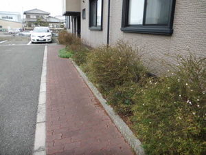 ボナール・東加古川 0103号-3