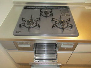 ハニーグラン 0103号-3